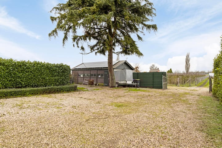 Photo 56 of Oude Koningstraat 8-B