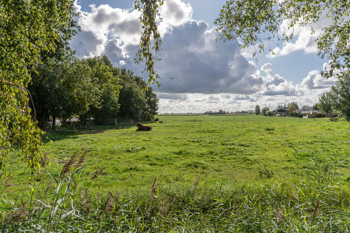 Bekijk foto 12 van Horstweg 19