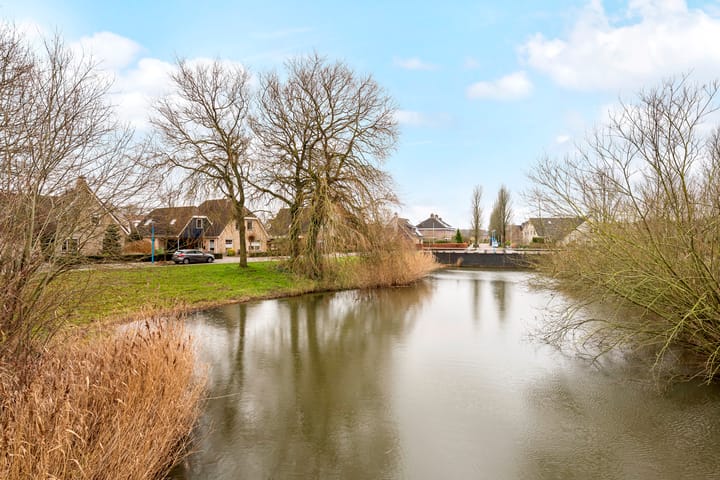 Foto 2 van Patrijs 10