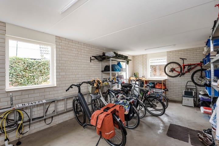 Foto 17 van Patrijs 10