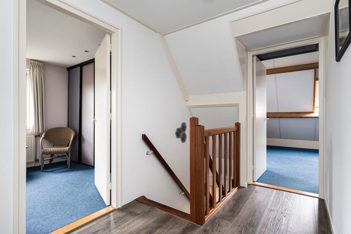 Foto 18 van Patrijs 10