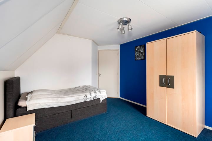 Foto 26 van Patrijs 10