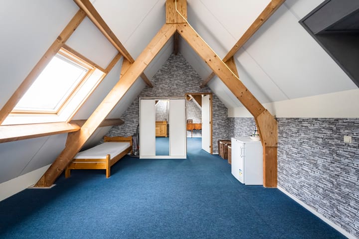 Foto 30 van Patrijs 10