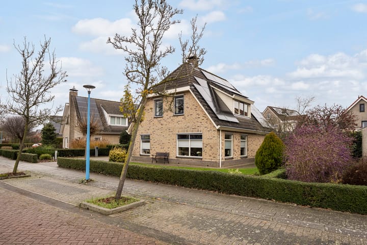 Foto 38 van Patrijs 10