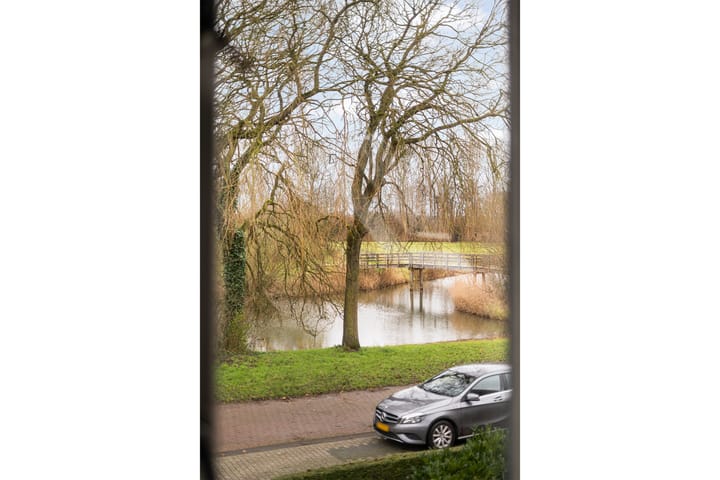 Foto 39 van Patrijs 10