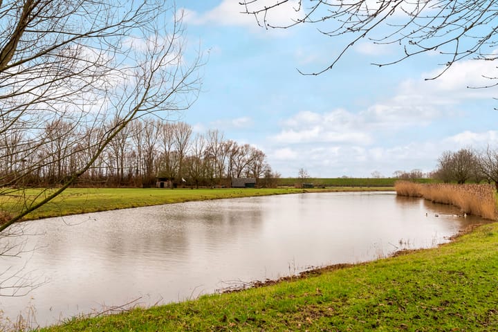 Foto 40 van Patrijs 10