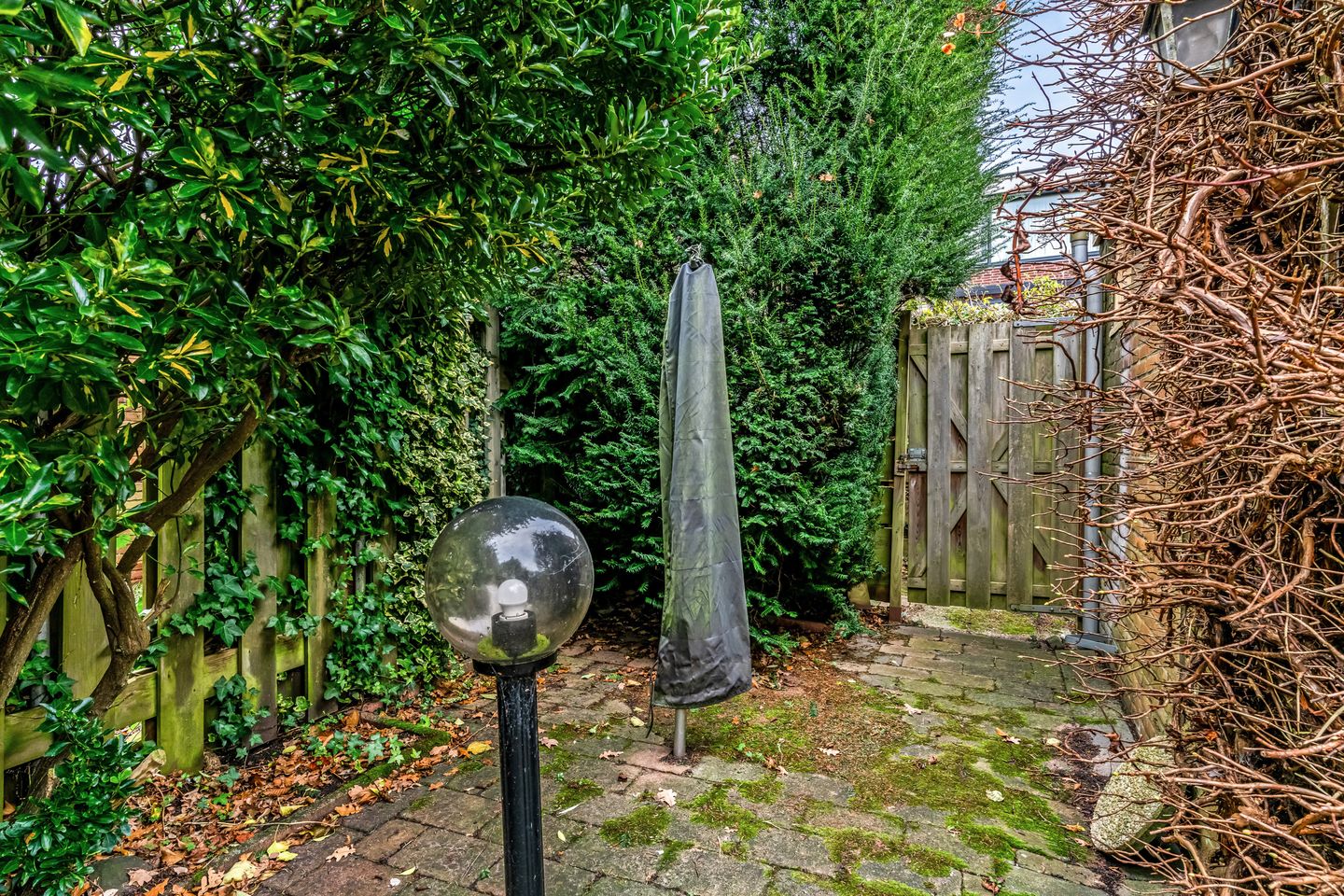 Foto 29 van Mendelstraat 91