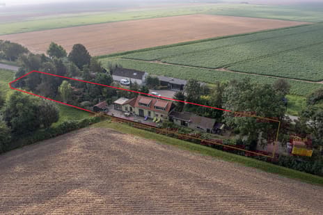 undefined main image