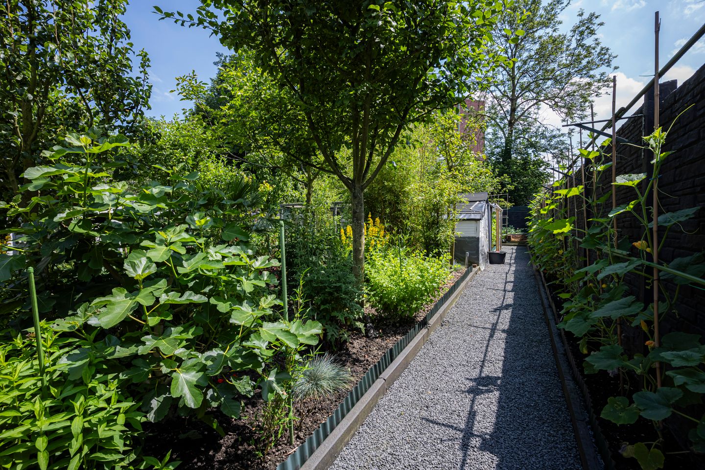 Foto 29 van Kleine Stegel 6