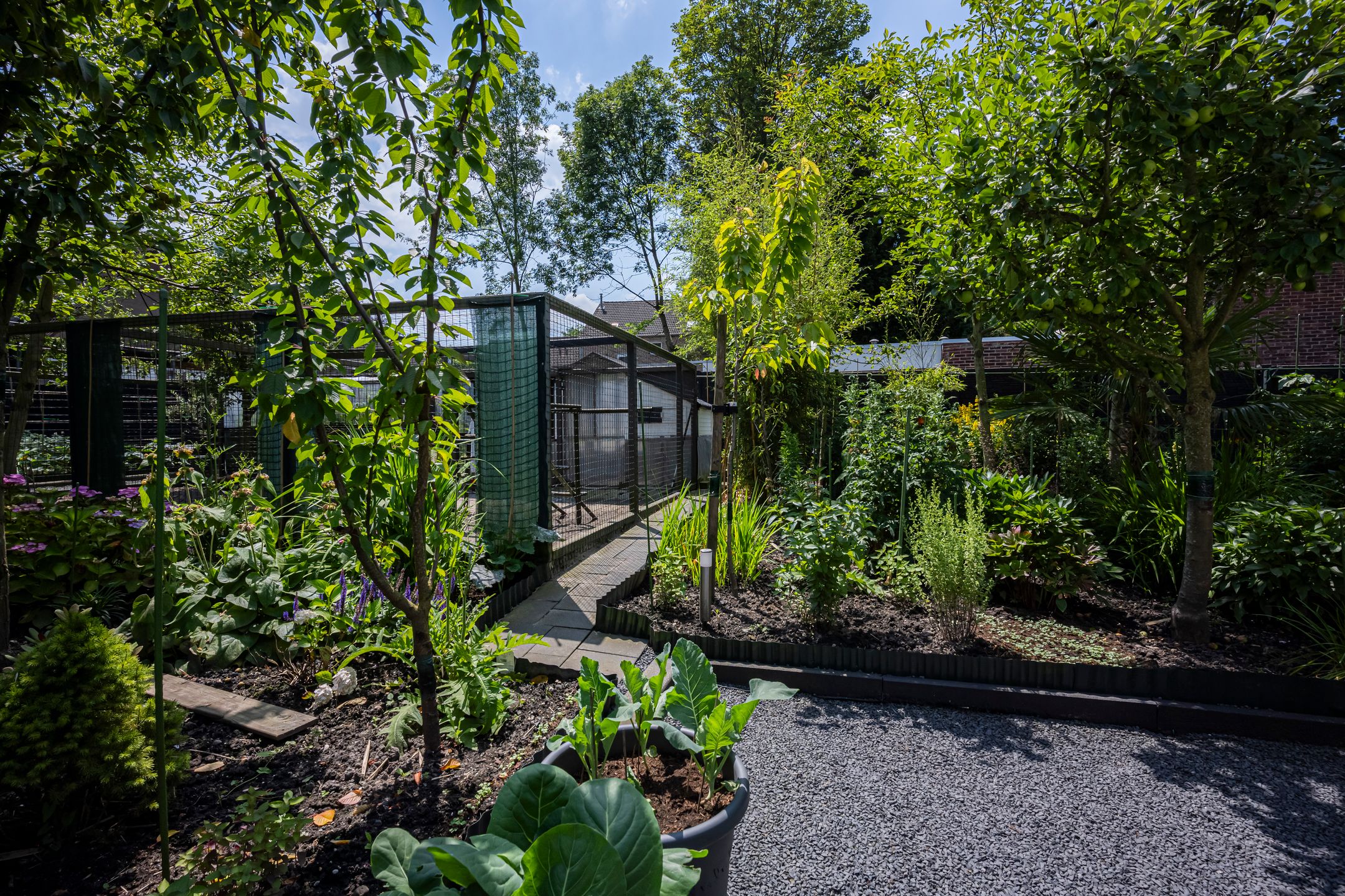 Foto 30 van Kleine Stegel 6