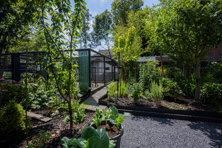 Foto 30 van Kleine Stegel 6