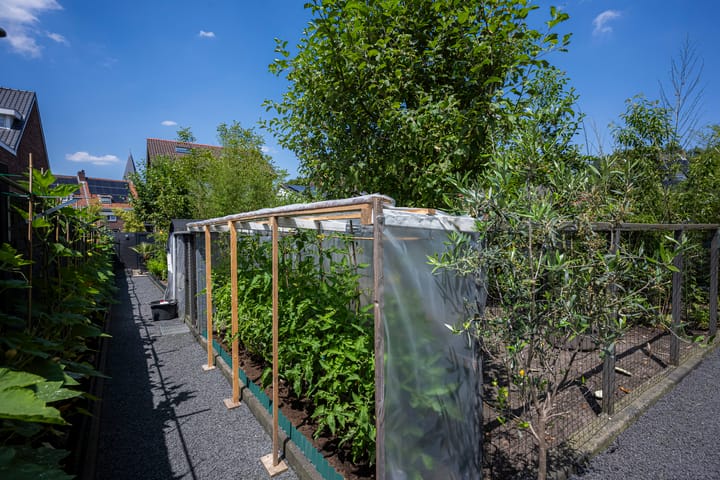 Foto 33 van Kleine Stegel 6