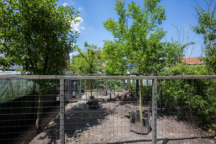 Foto 34 van Kleine Stegel 6