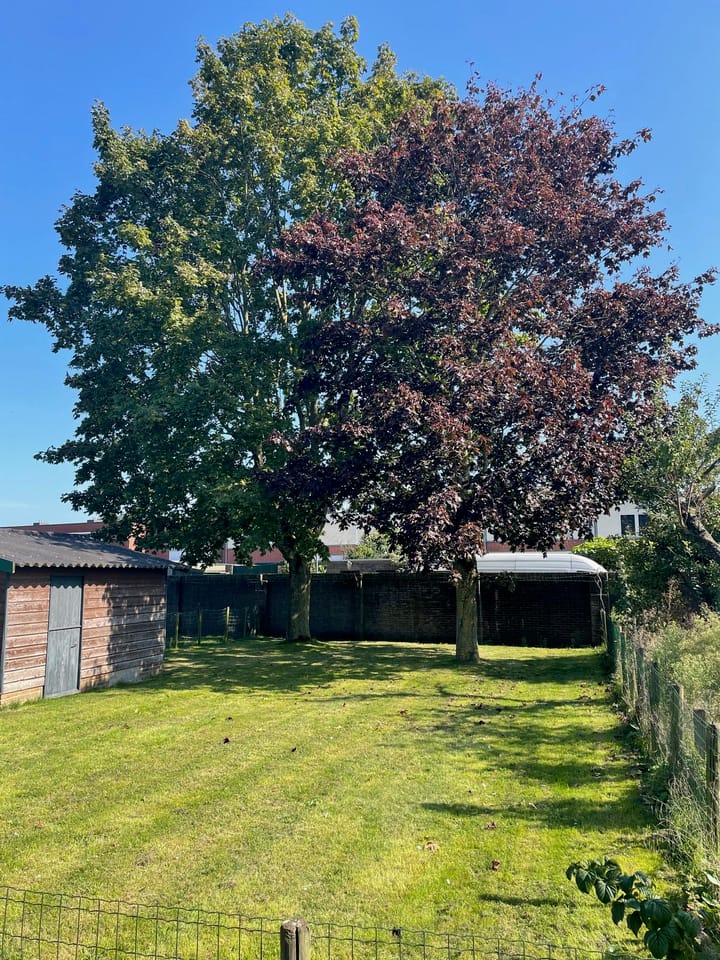 Foto 45 van Sint Antoniusstraat 65