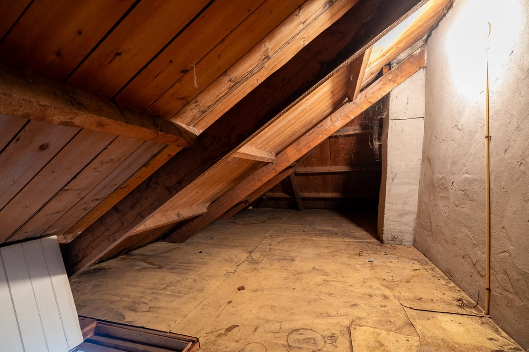 Photo 38 of de Vosholen 29