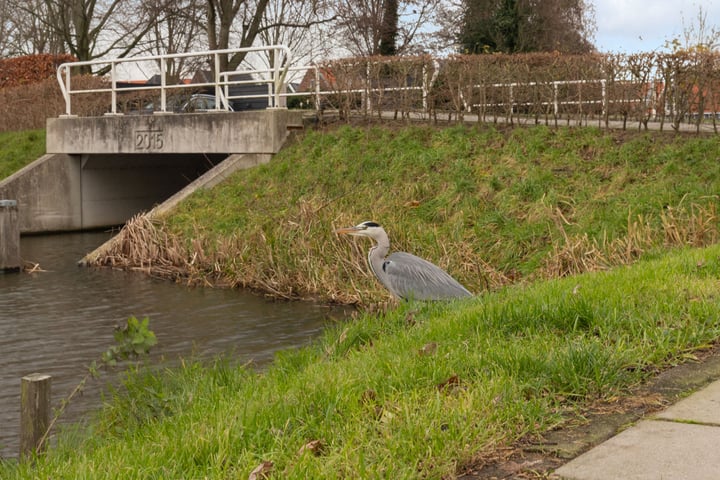 View photo 18 of Bernhardstraat 28