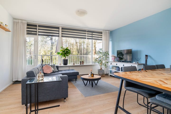 Foto 4 van Anatole Franceplaats 578