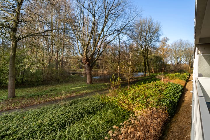 Foto 8 van Anatole Franceplaats 578