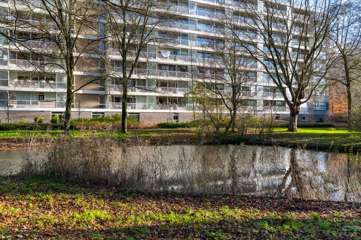 Foto 15 van Anatole Franceplaats 578