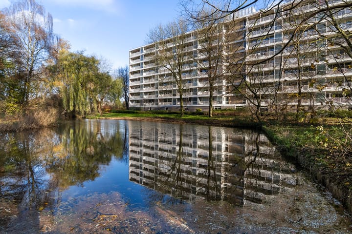 Foto 16 van Anatole Franceplaats 578