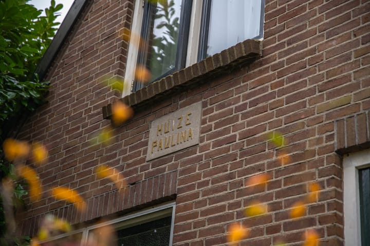 Foto 10 van Meinte 5