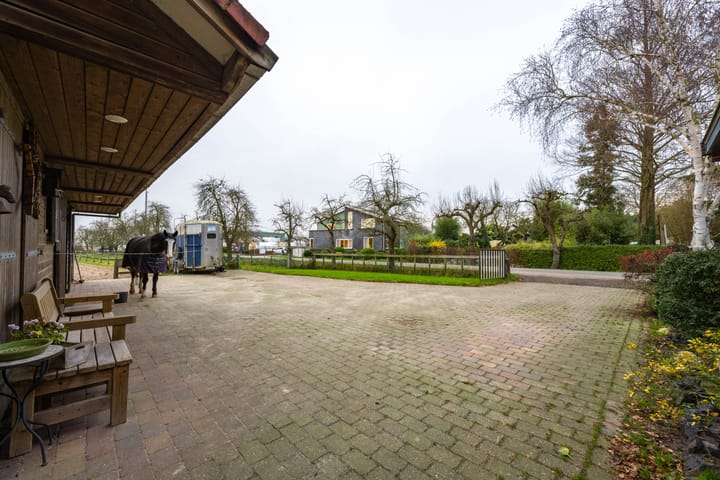 Foto 13 van Meinte 5