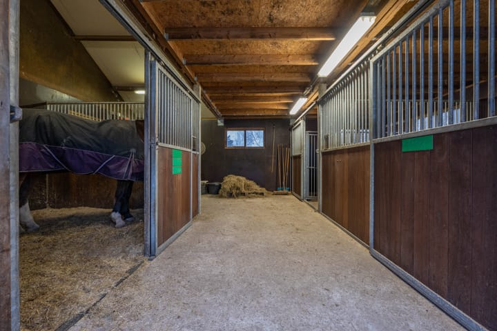 Foto 16 van Meinte 5