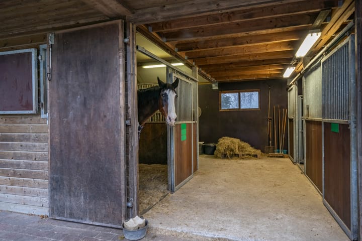 Foto 17 van Meinte 5