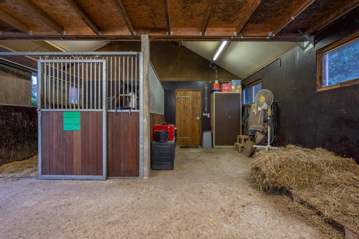 Foto 18 van Meinte 5