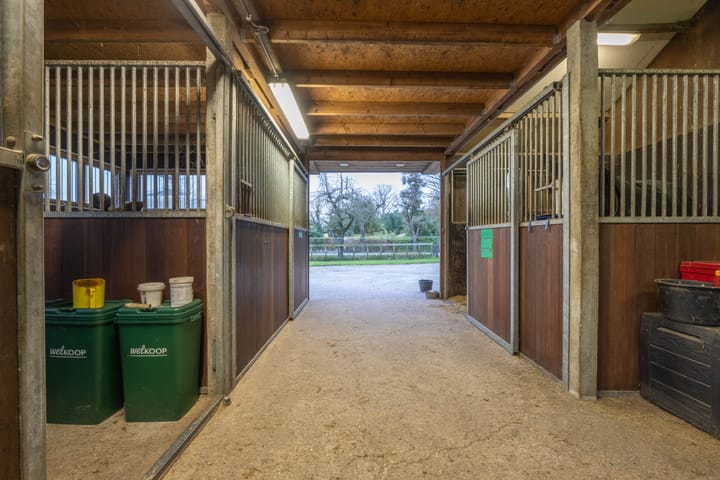 Foto 20 van Meinte 5