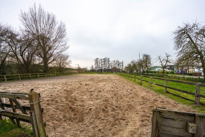 Foto 24 van Meinte 5