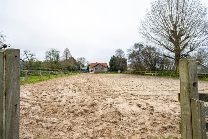 Foto 28 van Meinte 5