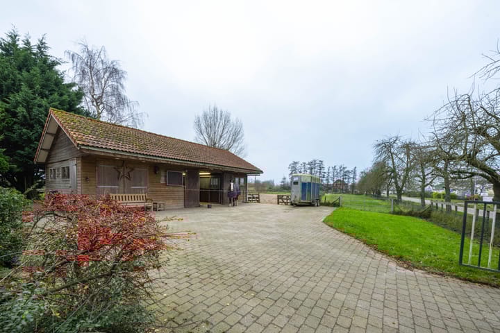 Foto 12 van Meinte 5