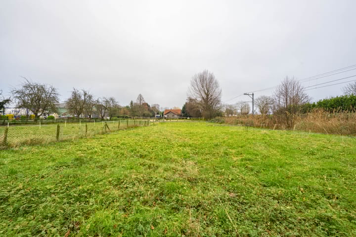 Foto 30 van Meinte 5