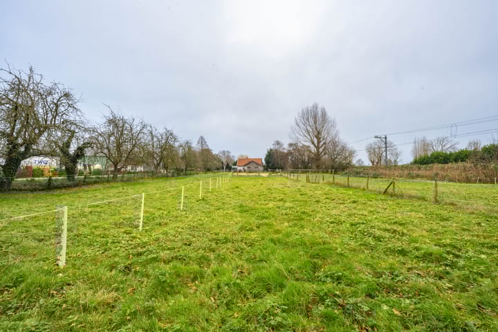 Foto 31 van Meinte 5