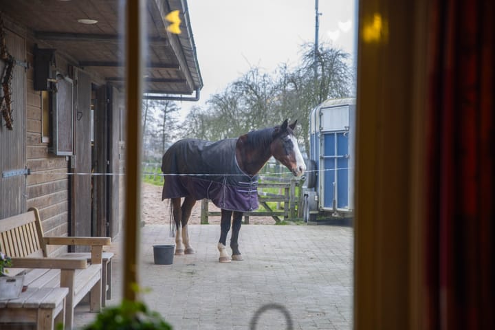 Foto 48 van Meinte 5