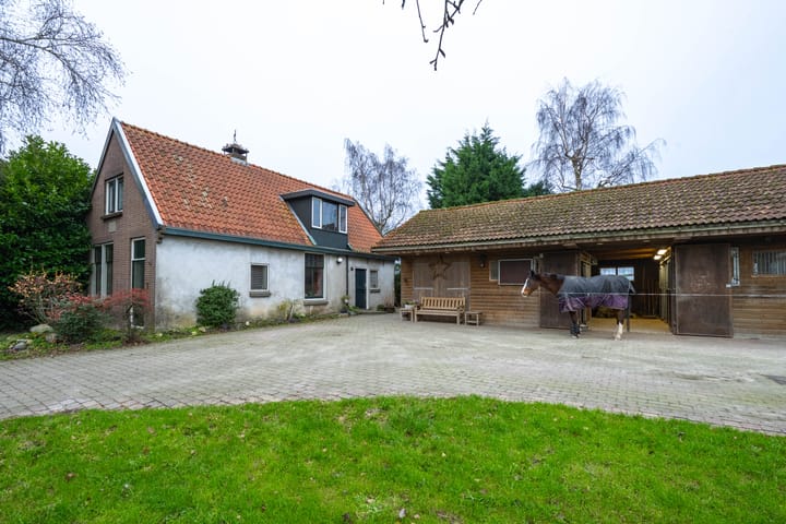 Foto 60 van Meinte 5