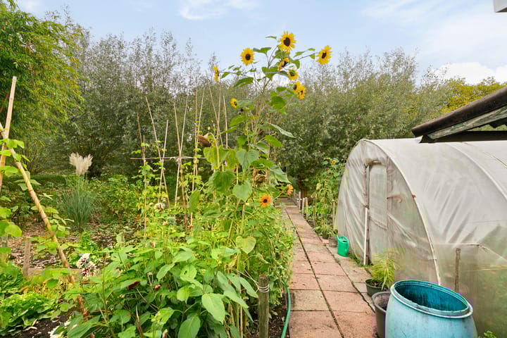 Foto 20 van Wethouder Venteweg 91