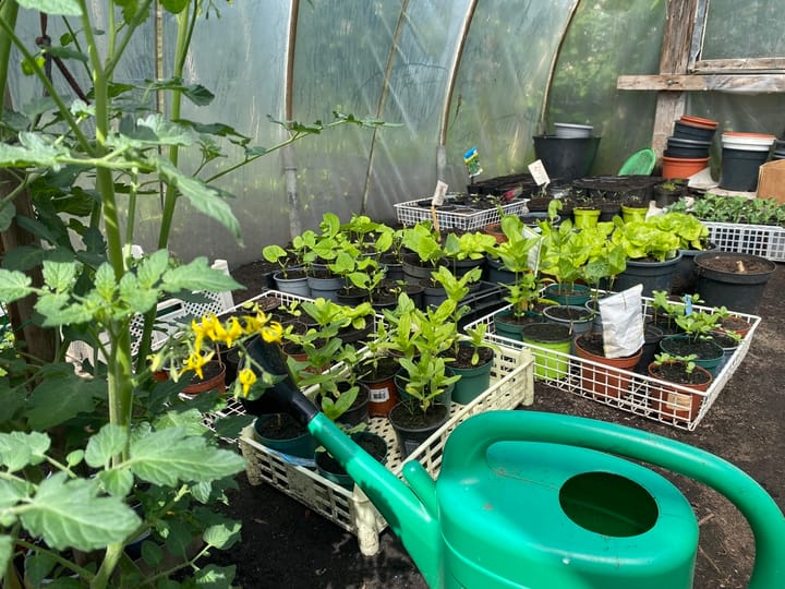 Foto 21 van Wethouder Venteweg 91