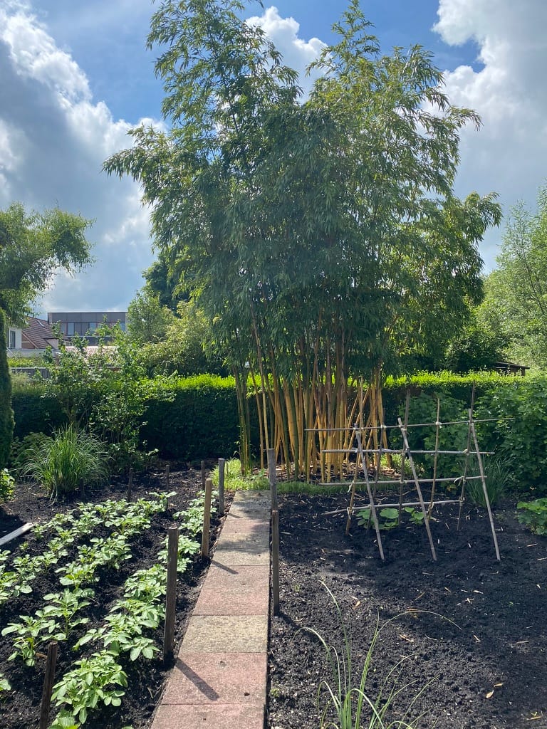 Photo 25 of Wethouder Venteweg 91