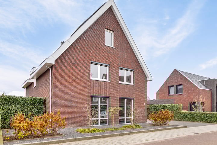 Foto 7 van Zandoogje 4