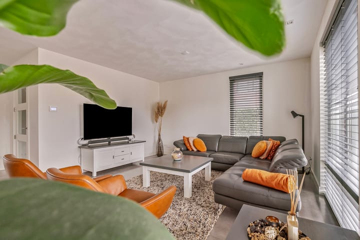 Foto 12 van Zandoogje 4