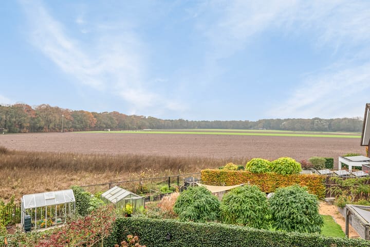 Foto 45 van Zandoogje 4