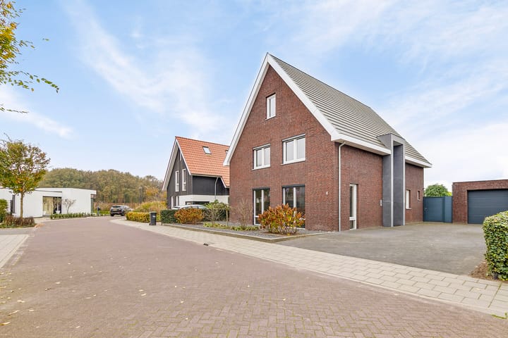 Foto 46 van Zandoogje 4