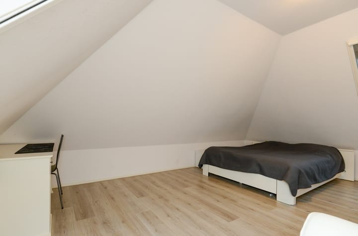 Foto 43 van Laagland 38