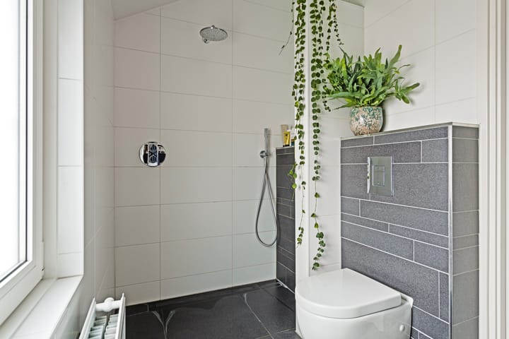 Foto 18 van Begoniastraat 4