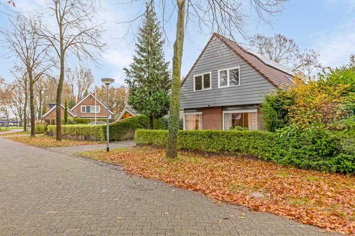 Foto 4 van Reggeplantsoen 12