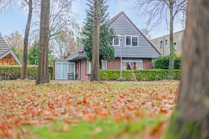 Foto 6 van Reggeplantsoen 12