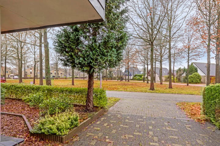 Foto 9 van Reggeplantsoen 12