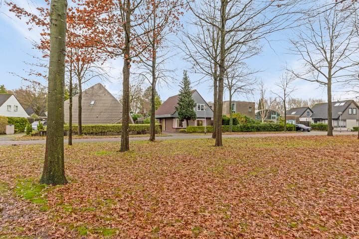 Foto 42 van Reggeplantsoen 12